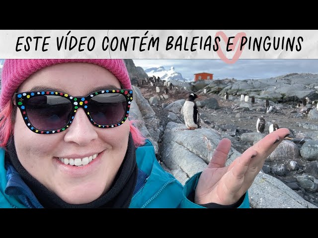 MAQUI NA ANTÁRTIDA PARTE 2: MUITAS BALEIAS, MUITOS PINGUINS! • Maqui Nóbrega