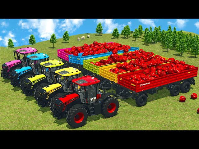 LOAD AND TRANSPORT BELL PEPPERS WITH JCB TRACTORS & WHEEL LOADERS - Farming Simulator 25