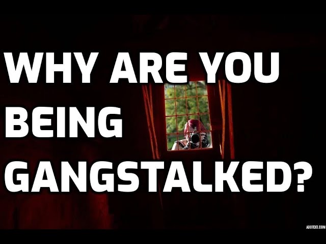 Why Are You Being Gangstalked?