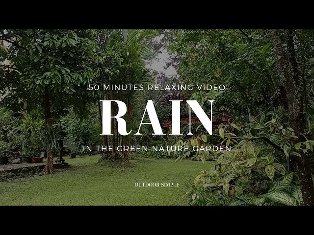 Rain at Garden For Relaxation 1 Hours