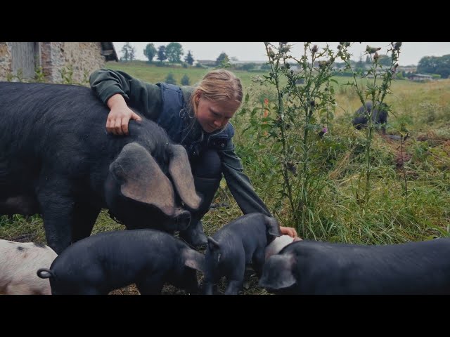 The Pig Farmer