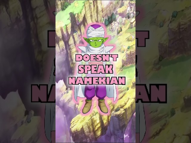 Piccolo Doesn't speak Namekian (theorie)