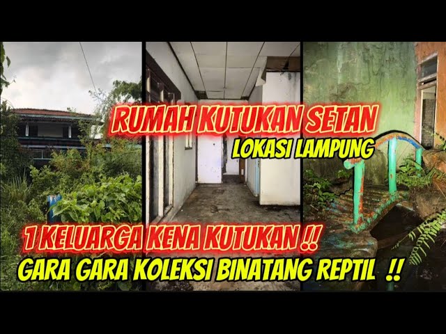 KUTUKAN IBLIS !! RUMAH INI MEMILIKI PELIHARAAN ULAR YANG DIRASUKI IBLIS LOKASI LAMPUNG #explore