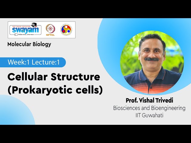 Lec 1: Cellular Structure (Prokaryotic cells)