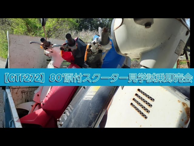 【GTFクマザワ272】80’原付スクーター見学試乗即売会　スズキLOVE森英恵スペシャル　イブパックス　パックスS　ヤマハベルーガ　スズキ前期セピア　中期セピア　ハイアップ　横須賀野比温泉