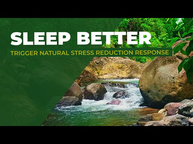 Enhanced focus Meditation Hypnosis Natural Forest & River for Deep Sleep . . . .