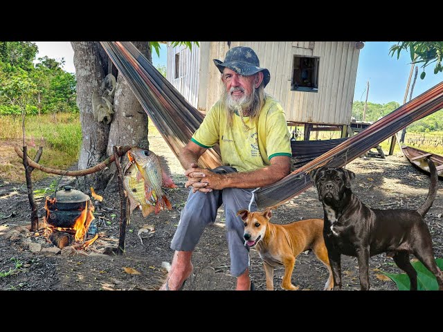 ISOLATED IN THE JUNGLE WITHOUT POWER, LIVING WITH ANIMALS IN HIS HOUSE, ALONE IN THE AMAZON FOREST