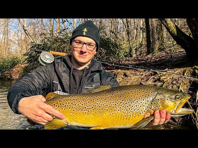 Trout Fishing in Georgia's Hidden Paradise with a Fly Rod!