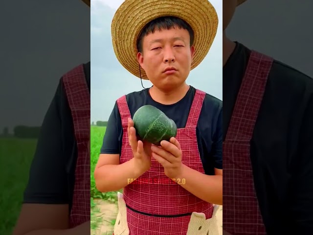 Amazing fruits farmer enjoy #shorts #new #nature #fruits #garden #vegetables #foryou #shortvideo