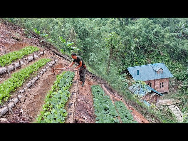 Full video: Gardening in the mountains. Growing okra, pumpkin and harvesting melons - TA Bushcraft