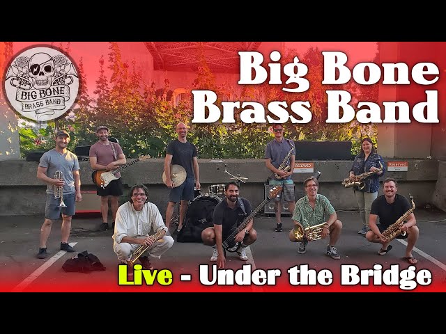 Big Bone Brass Band live in Vancouver - (Samsung Gear 360 panorama degree video)