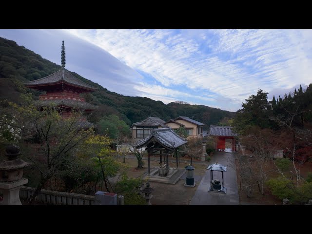 Relaxing Early Morning Walk through Temple in Rural Japan