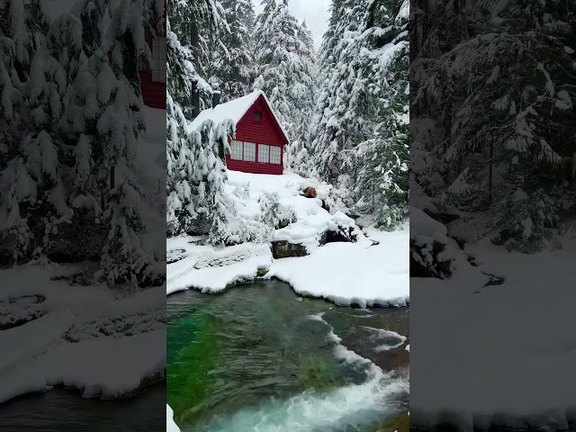 Snowy Cabin in the Woods #winter #river #forest #nature #naturesounds #cabincrew #snow