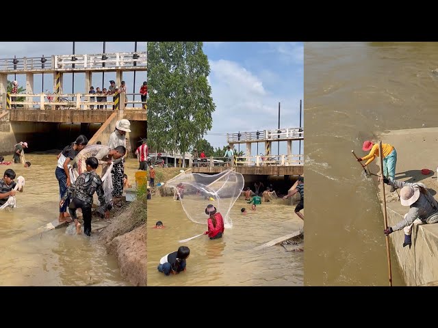 Amazing real life net fishing in river at countryside , woman used scoop net fishing for food for