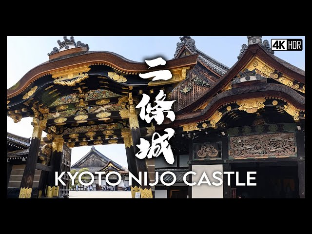 Japan Travel VLOG 2024 Ep3: Kyoto Nijo Castle | Must visit World Heritage | Mikane Shrine Autumn 🇯🇵