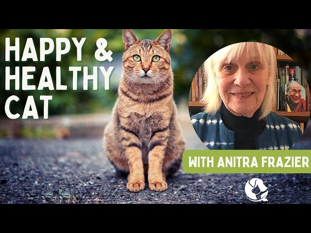 Holistic Cat Health Tips from Anitra Frazier | Expert Advice for a Happy, Healthy Cat