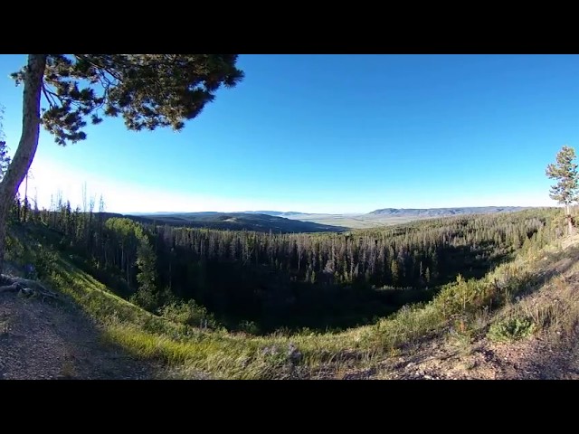 360° VR.  Woodpeckers and Bird Song above a Mountain Valley.