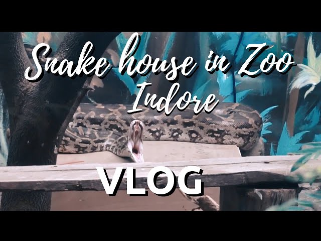 Snake House In Indore || Indore Zoo || Vlog || Dheeraj D Sagore