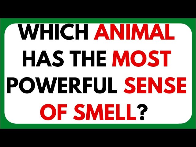 Mind-Blowing General Knowledge Riddles | Can You Solve Them? 🤯🧩