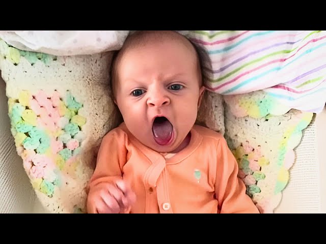 Priceless Baby Reactions To Everything - Funniest Moments Ever! 🤣