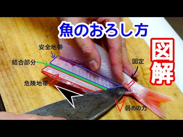 【魚卸し】図解でわかる魚の捌き方【初心者向け】