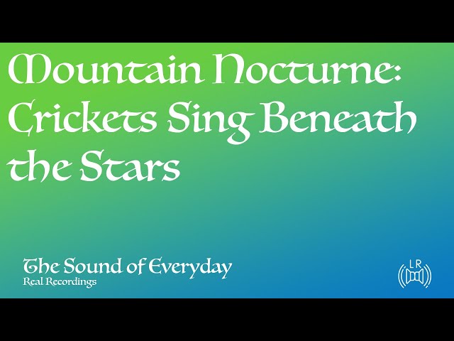 Mountain Nocturne: Crickets Sing Beneath the Stars (Audio only) - Relaxing Nature Sound