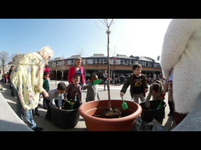 Hommage à Soraya - plantation de l'arbre. - Ecole 9