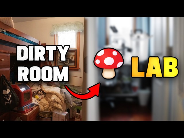 I Built a Home Mushroom Lab | DIY Mycology Lab