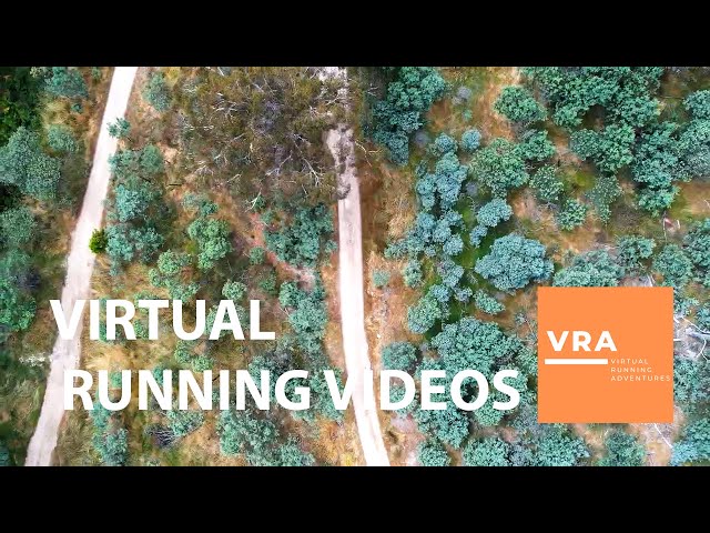 Virtual Running Adventures - Trail Run 4K - Treadmill Workout - Scenery