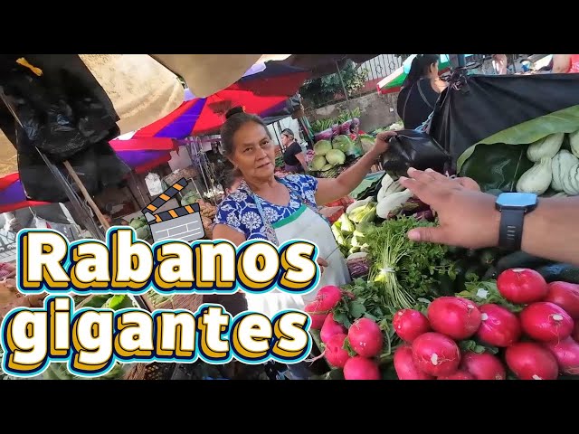 Los Rábanos Gigantes de Los Mercado EL salvador