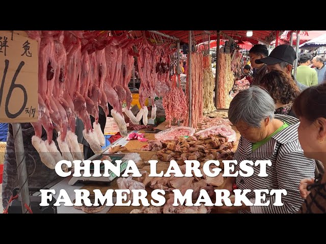 CHINA’S LARGEST FARMER’S MARKET IN 2024 | MORE THAN WHAT YOU EXPECTED