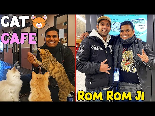 The CAT Café and Meeting @RomRomJi (Day 13)