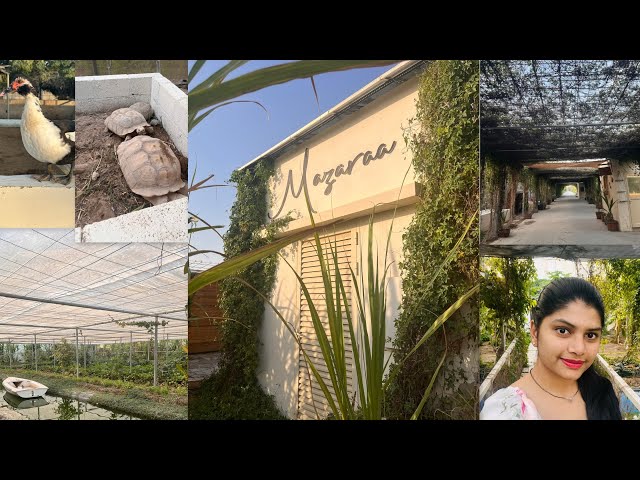 Maazara Farm Abu Dhabi|Hidden gem Mazaraa Farm|Animal and Vegetable Farm in UAE |Travel Vlog|Part-1