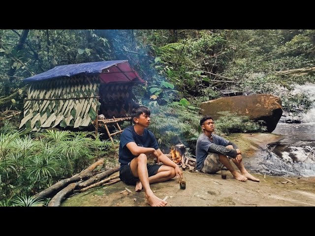 Di hutan kalimantan berkemah dan bertahan hidup membangun shelter di  tepi sungai menikmati alam