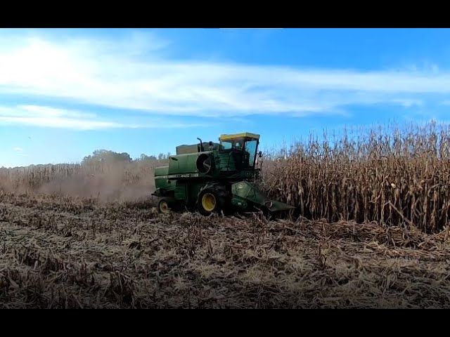 4420 John Deere Combine Harvesting Corn.