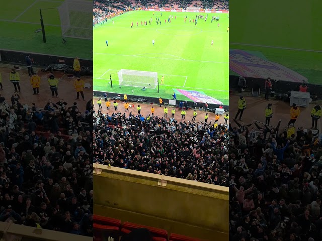 Scenes at Full-Time! Newcastle Fan Can't Stop Mocking Arsenal Fans 😂⚽️ #arsenal #newcastleunited