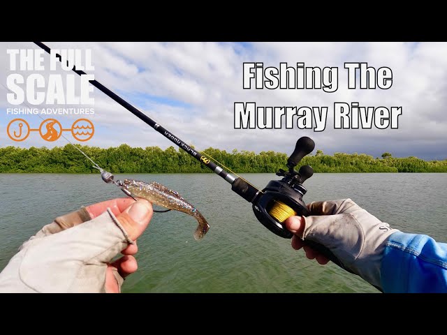 Fishing The Murray River | The Full Scale