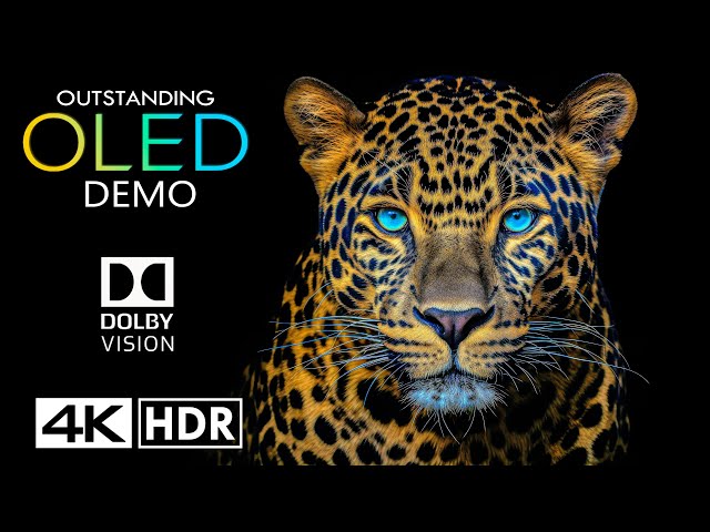 OUTSTANDING 😮 Dolby Vision 4K HDR 120fps 4K Video ULTRA HD