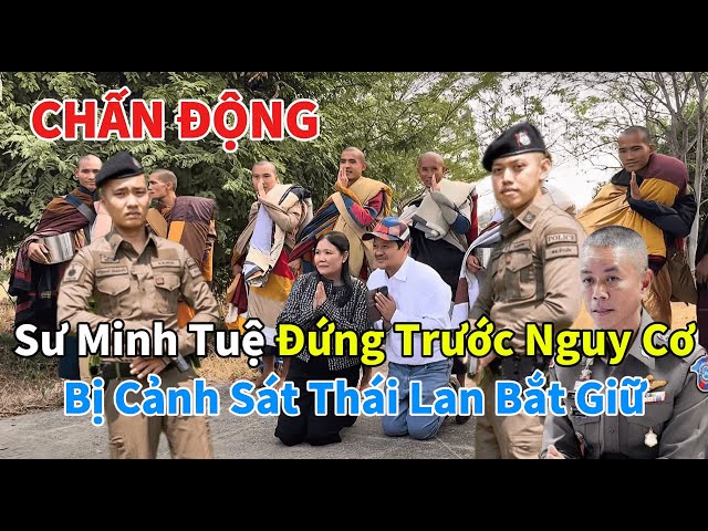 Chấn Động: Sư Minh Tuệ Đứng Trước Nguy Cơ Bị Cảnh Sát Thái Lan Bắt Giữ