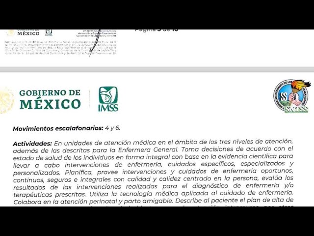 Categoría Nueva Enfermera General Clínica (Licenciatura) en el IMSS 2024