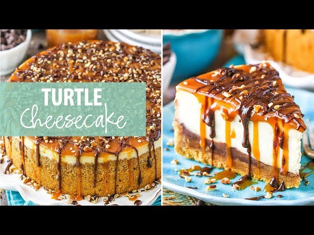 Turtle Cheesecake