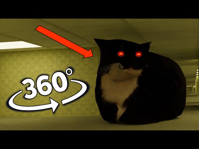 Maxwell the cat in the Backrooms But It's 360 degree video