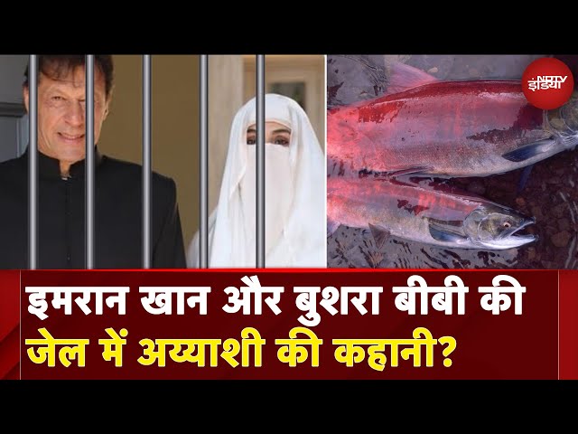 Imran Khan Jail Lifestyle | जेल में इमरान खान के शाही ठाठ: 7 लाख का खर्च | Pakistan | Bushra Bibi