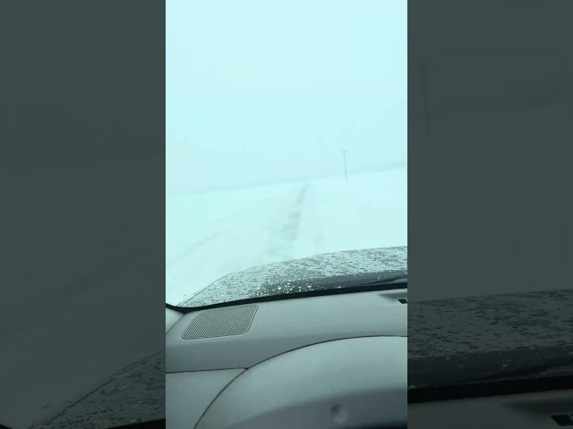 Mid west blizzard conditions 1/10/25 #storm #snow #blizzard #trending #driving #cold #winter  #trend