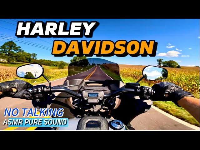 Perfect Day Riding the Harley Davidson Low Rider ST Pure [RAW] Sound No Talking ASMR TAB Performance