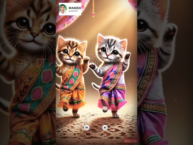 Kitten cat dance video 🤩 dance 🩰 video 📷 #neemli01 #manish #cat #cuteanimal #dance #comedy #cute