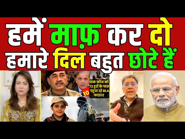 pakistani reaction | arzoo kazmi says hamare dil bahut chhote hain | pak media on india latest