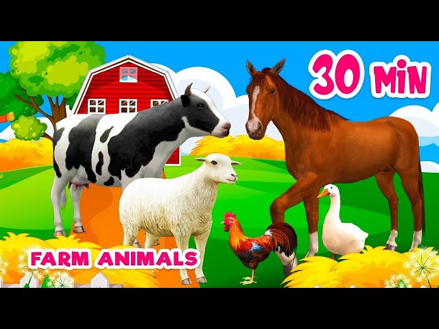 "Farm Animals Song for Toddlers | Fun Educational Video"