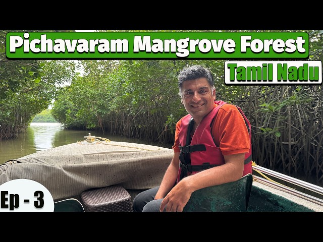 Ep 3 Chidambaram to Auroville | Tamil food in lunch, | Pichavaram Mangrove Forest | Tamil Nadu