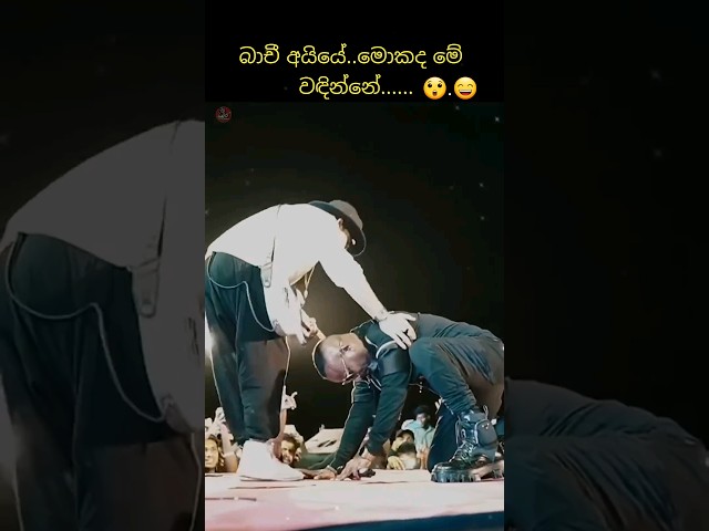 බාචිව පිස්සු වට්ටපු ගිටාර් පාට් එක😍 #trending #viral #youtubeshorts #fyp #highlights